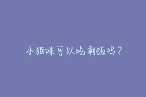 小猫咪可以吃剩饭吗？-动物百科