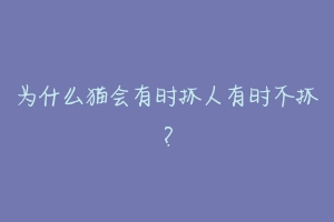 为什么猫会有时抓人有时不抓？-动物百科