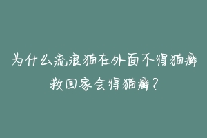 为什么流浪猫在外面不得猫癣救回家会得猫癣？-动物百科