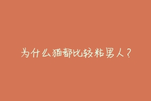 为什么猫都比较粘男人？-动物百科