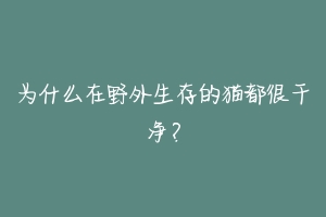为什么在野外生存的猫都很干净?-动物百科