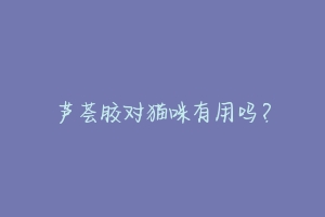 芦荟胶对猫咪有用吗?-动物百科