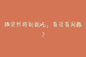 猫突然特别能吃,有没有问题?-动物百科