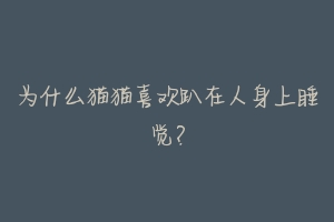 为什么猫猫喜欢趴在人身上睡觉？-动物百科