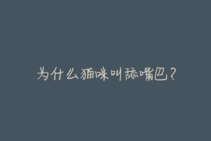 为什么猫咪叫舔嘴巴？-动物百科