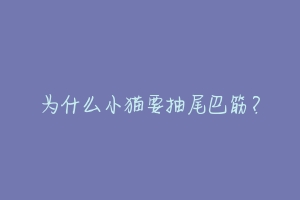为什么小猫要抽尾巴筋？-动物百科