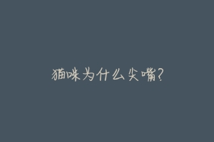猫咪为什么尖嘴？-动物百科