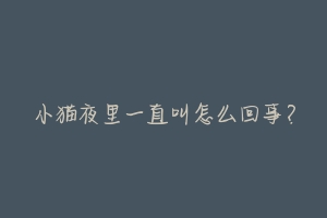 小猫夜里一直叫怎么回事？-动物百科