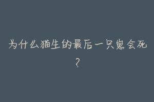 为什么猫生的最后一只崽会死？-动物百科