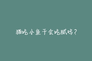 猫吃小鱼干会吃腻吗？-动物百科
