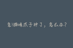 急!猫咪爪子肿了，怎么办？-动物百科