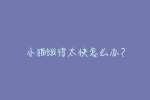 小猫饿得太快怎么办？-动物百科
