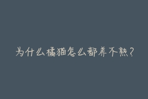 为什么橘猫怎么都养不熟？-动物百科