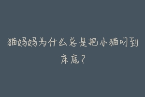 猫妈妈为什么总是把小猫叼到床底？-动物百科