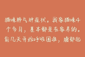 猫咪肺气肿症状。我家猫咪4个多月,基本都是在家养的。前几天开始呼吸困难,腹部起伏大,现在都用嘴?-动物百科