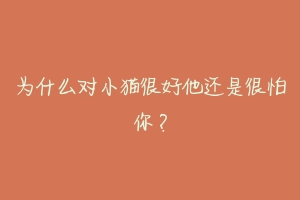 为什么对小猫很好他还是很怕你?-动物百科