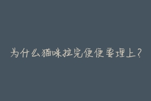 为什么猫咪拉完便便要埋上?-动物百科