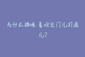 为什么猫咪 喜欢出门儿打滚儿?-动物百科