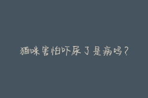 猫咪害怕吓尿了是病吗?-动物百科