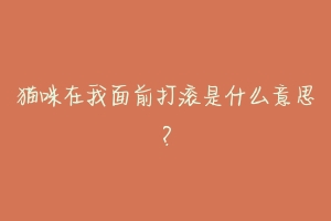 猫咪在我面前打滚是什么意思?-动物百科