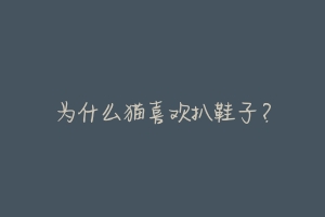为什么猫喜欢扒鞋子?-动物百科