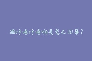 猫呼噜呼噜响是怎么回事?-动物百科