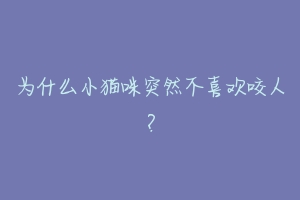为什么小猫咪突然不喜欢咬人?-动物百科