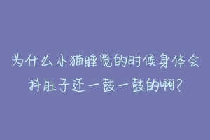 为什么小猫睡觉的时候身体会抖肚子还一鼓一鼓的啊?-动物百科