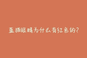 蓝猫眼睛为什么有红色的?-动物百科