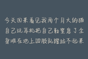 今天回来看见我两个月大的猫自己玩耳机把自己勒窒息了全身滩在地上四肢乱蹬站不起来躺在地上嚎叫眼睛外凸?-动物百科