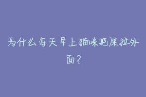 为什么每天早上猫咪把屎拉外面?-动物百科