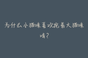 为什么小猫咪喜欢抱着大猫咪啃?-动物百科