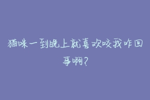 猫咪一到晚上就喜欢咬我咋回事啊?-动物百科