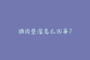 猫肉垫湿怎么回事?-动物百科