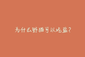 为什么野猫可以吃盐?-动物百科