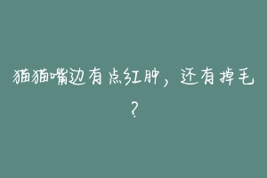 猫猫嘴边有点红肿,还有掉毛?-动物百科
