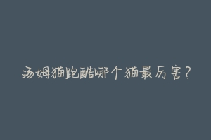 汤姆猫跑酷哪个猫最厉害?-动物百科