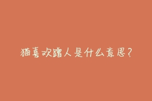 猫喜欢蹭人是什么意思？-动物百科