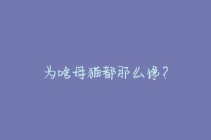 为啥母猫都那么馋？-动物百科