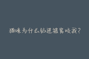 猫咪为什么钻进被窝咬我?-动物百科