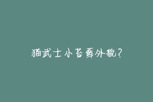猫武士小苔藓外貌?-动物百科