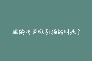 猫的叫声吸引猫的叫法?-动物百科