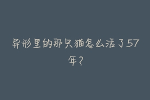 异形里的那只猫怎么活了57年?-动物百科