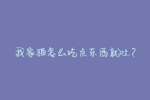 我家猫怎么吃点东西就吐?-动物百科