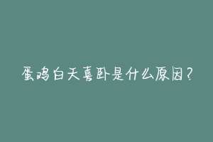 蛋鸡白天喜卧是什么原因?-动物百科