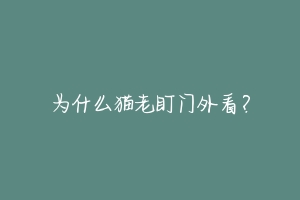 为什么猫老盯门外看?-动物百科
