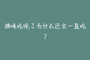 猫咪吃饱了为什么还会一直吃?-动物百科