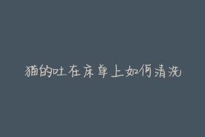 猫的吐在床单上如何清洗-动物百科