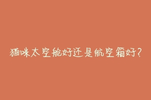 猫咪太空舱好还是航空箱好？-动物百科