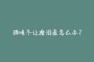 猫咪不让擦泪痕怎么办？-动物百科